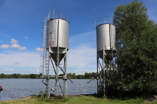 I v těchto silech jsou živiny, a to ve formě krmení pro ryby (CHKO Poodří 2022).