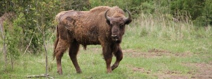 Foto: Česká krajina