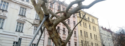 Foto: Zdeňka Kováříková / Ekolist.cz