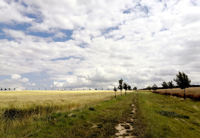 Zemní práce spočívají ve vytvoření mokřadu a takzvaného průlehu s protierozní funkcí. Průleh je mělký, široký a často zatravněný příkop s mírným sklonem proti okolnímu svahu. Ilustrační foto