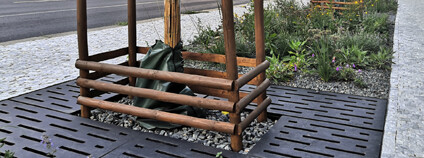 Foto:  Zdeňka Kováříková / Ekolist.cz