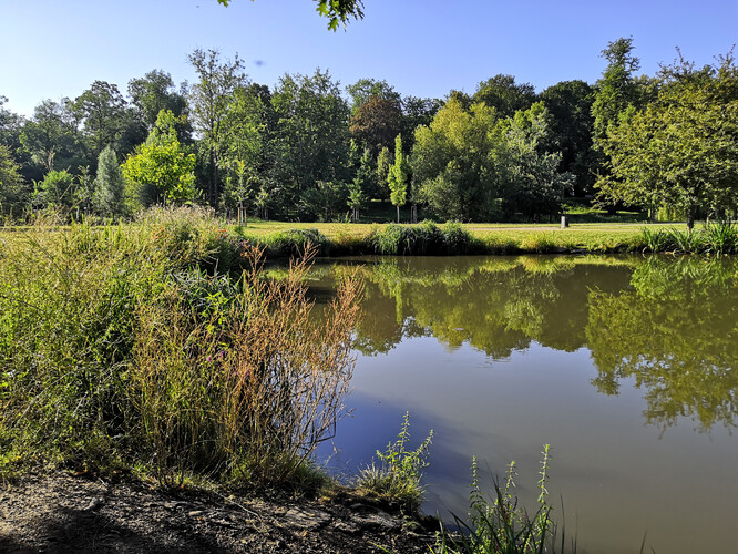 Strategie se zaměřila na čtyři základní oblasti - udržitelnou energetiku a mobilitu, cirkulární ekonomiku a adaptaci na změnu klimatu.