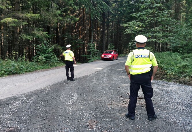 Jedete na houby autem přímo do lesa?