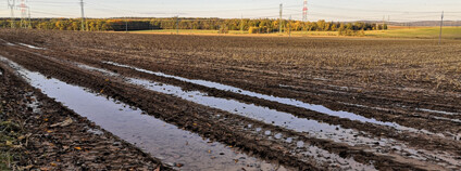 Foto: Zdeňka Kováříková / Ekolist.cz