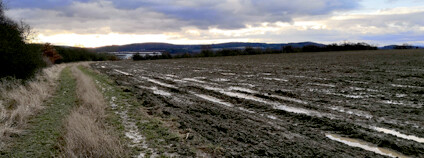 Foto: Zdeňka Kováříková / Ekolist.cz