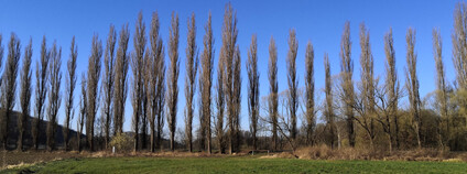 Foto: Zdeňka Kováříková / Ekolist.cz