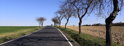 Foto: Zdeňka Kováříková / Ekolist.cz