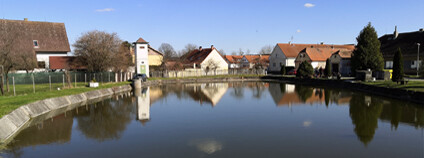 Foto: Zdeňka Kováříková / Ekolist.cz