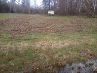 Louka rozrytá divočáky.