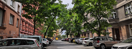 Uliční prostor na Vinohradech - auta a stromy. Foto: Zdeňka Kováříková Ekolist.cz