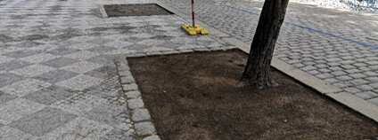 Mlat kolem stromů. Foto: Zdeňka Kováříková Ekolist.cz