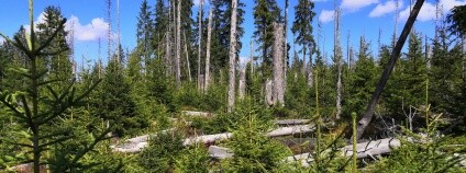 Foto: Zdeňka Kováříková / Ekolist.cz