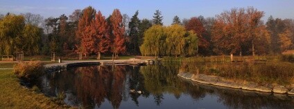 Královská obora Stromovka v Praze Foto: Zdeňka Kováříková Ekolist.cz