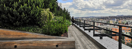 Střešní terasa na Brumlovce. Foto: Zdeňka Kováříková / Ekolist.cz