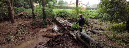 Foto: Jana Soukupová / Praha 12