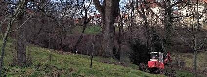 Foto: Martin Švihlík