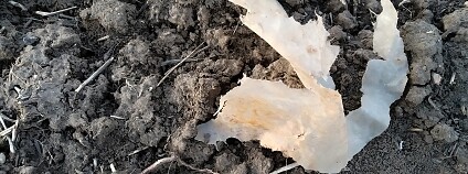 Foto: Martin Mach Ondřej / Ekolist.cz