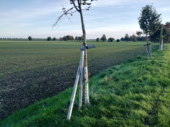 Tady už by to nějakou péči chtělo. Kde ale na to vzít? Tady už by to nějakou péči chtělo. Kde ale na to vzít?