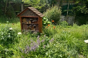 Foto: Martin Mach Ondřej / Ekolist