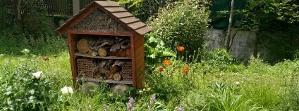 Foto: Martin Mach Ondřej / Ekolist