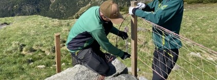 Foto: Radek Drahný / KRNAP