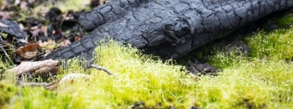 Foto: Ondřej Kořínek