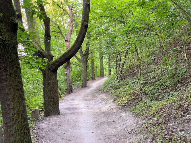 Dvořákova stezka. Tudy chodíval Antonín Dvořák z rodné Nelahozevsi k příbuzným do Kralup.