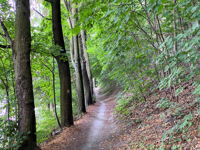 A je to nedaleko Prahy!