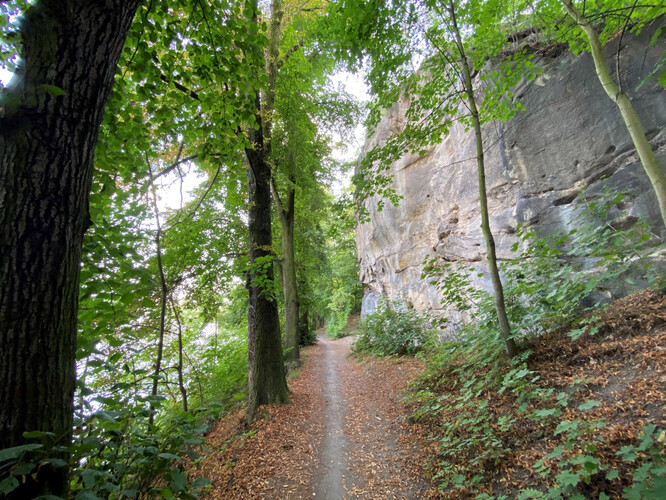 Dvořákova stezka vede po levém břehu Vltavy mezi Kralupy nad Vltavou a Nelahozevsí, v pásu mezi břehem Vltavy na jedné straně a železniční tratí 090 a pískovcovou Lobečskou skálou s tzv. nelahozeveskými železničními tunely na druhé straně.