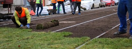 Foto: Výzkumný ústav rostlinné výroby