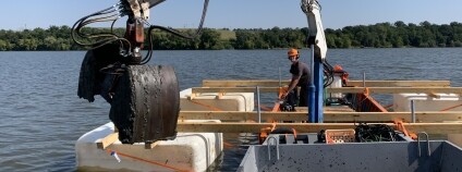 Foto: Biologické centrum AV ČR