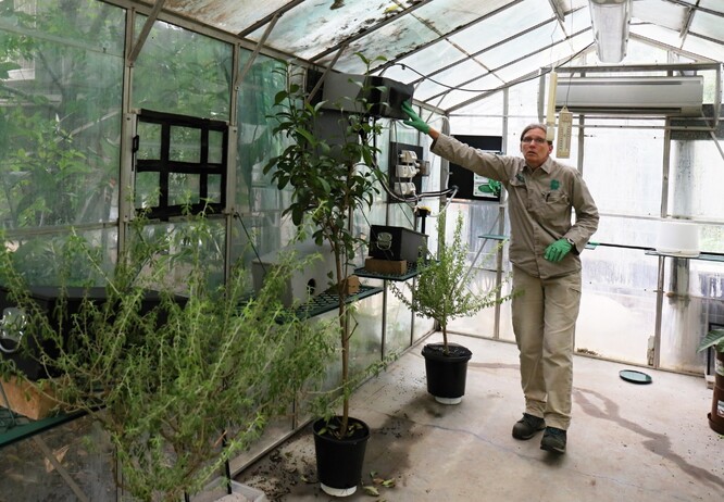 Skleník v Zoo Melbourne.