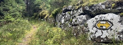 Nová část Zlaté stezky v NP Šumava u hraničního přechodu Strážný. Foto: NP Šumava