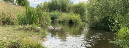 Foto: Lukáš Hruška / archiv autora