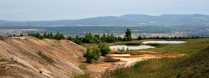 Foto: Jiří Cejpek / Naše příroda
