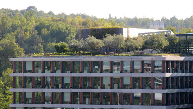 V roce 2019 přibylo v České republice 256 000 metrů čtverečních zelených střech. Meziročně je to nárůst o 9000 metrů čtverečních.