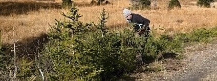 Foto: Štěpán Rosenkranz / NP Šumava