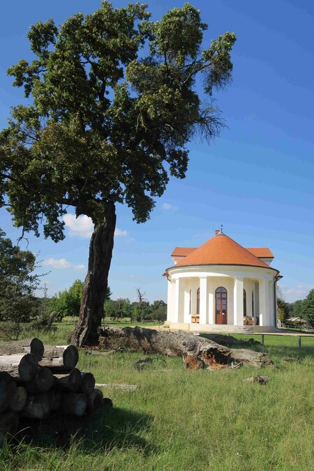 Zámeček Lány, památka UNESCO, s dožívajícím dubem Bertka Hepnera.