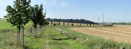 Foto: Lukáš Hruška