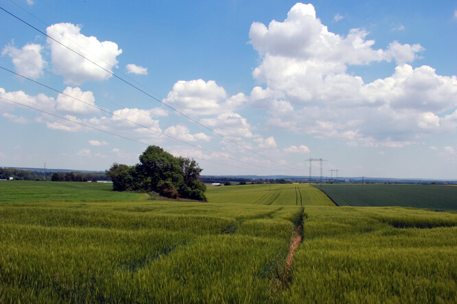 Ilustrační snímek.