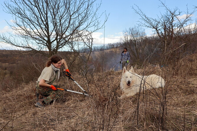 Proč tam kácí a sekají? Proč raději něco nesází?