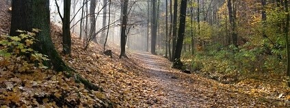 Foto: Dan Frantík / Praha.eu