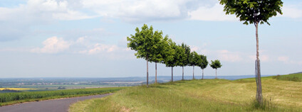 Foto: Zdeňka Kováříková Ekolist.cz