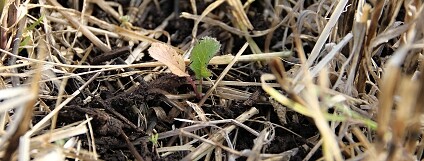 Foto: Martin Mach Ondřej / Ekolist.cz