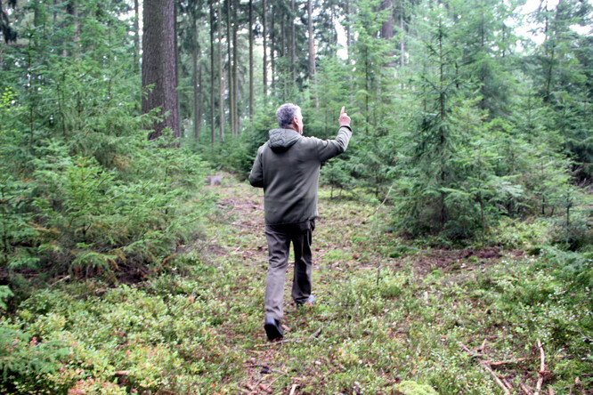 Názorové rozdíly na les se nejlíp vyříkávají v lese.