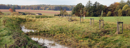 Dubenec. Foto:  Zdeňka Kováříková / Ekolist.cz