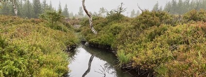 Přehrážky v Krkonoších Foto: Správa Krkonošského národního parku