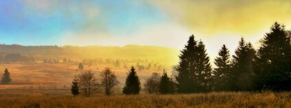 Foto: Vojenské lesy a statky ČR