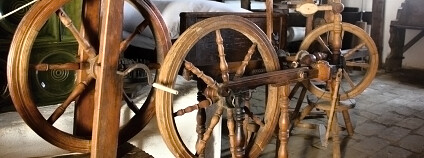 Foto: Mendelova univerzita v Brně