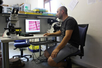 Na snímku Tomáš Kolář z Ústavu nauky o dřevě Lesnické a dřevařské fakulty Mendelovy univerzity